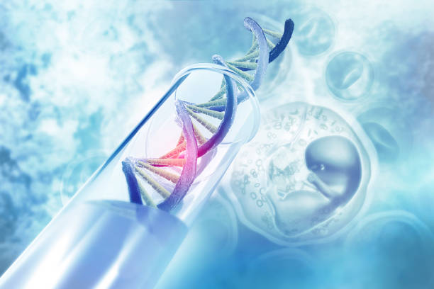 Preimplantation Genetic Testing (PGT)